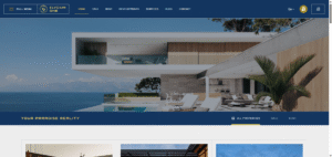 instant website webflow development 02